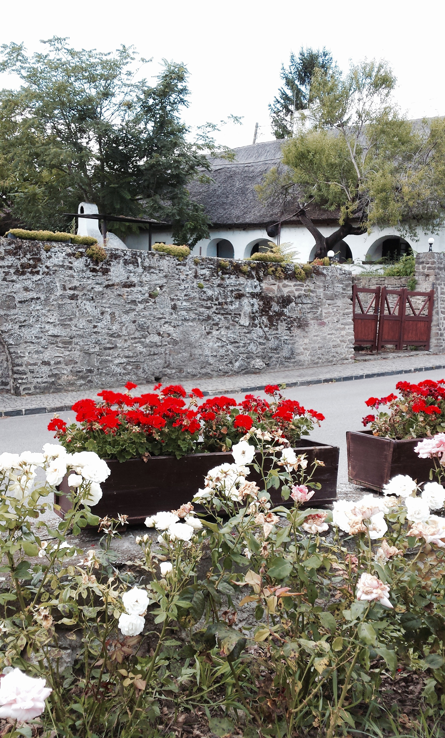 A fave spot at beautiful Lake Balaton: the Tihany peninsula