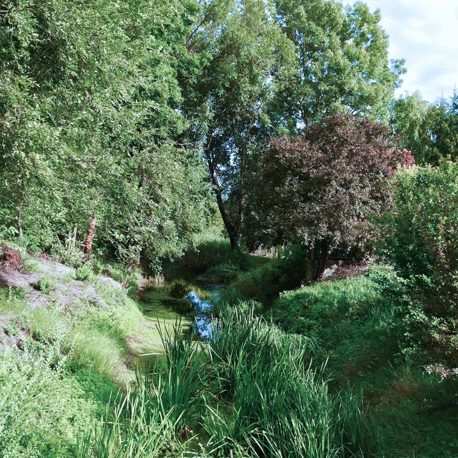 beautiful forests and streams near lake Balaton, Hungary