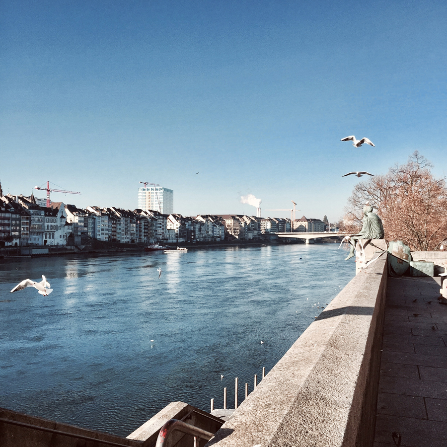 basel switzerland europe river rhine rhein view sunshine gulls winter