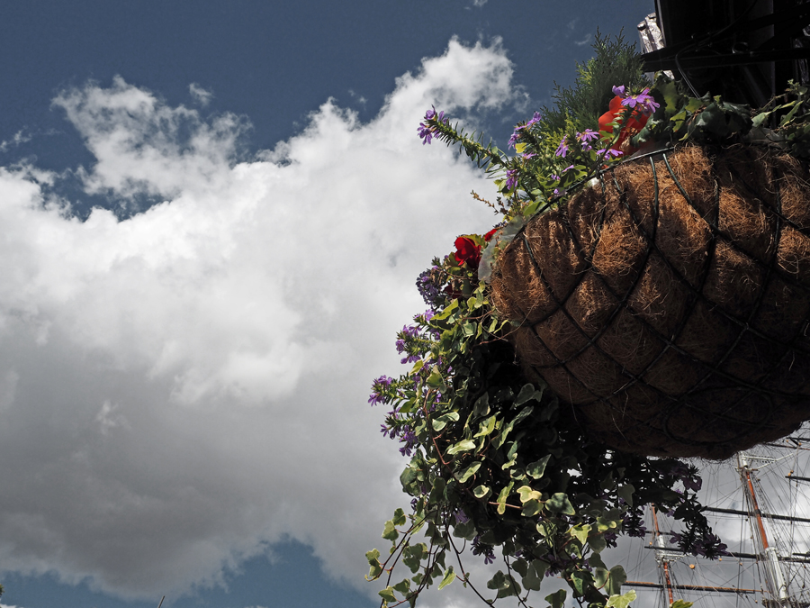 London Greenwich sky flowers Cutty Sark ship view